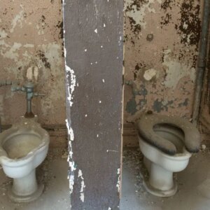 klozetten hastalik kapilir mi dlUwAzIU