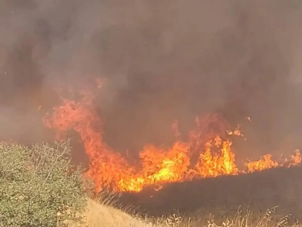 ipsalada bugday tarlasinda yangin PYpGT7nZ