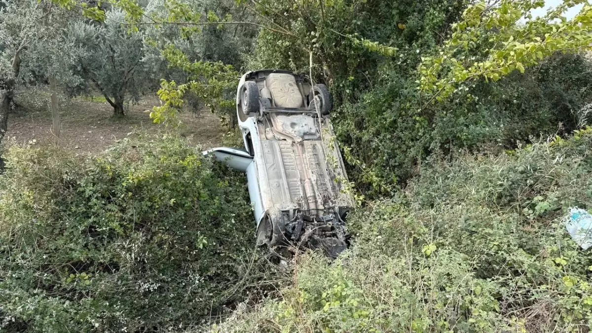 bursada sollama yapan surucu zeytinlige uctu 1ueV3jsa.jpg