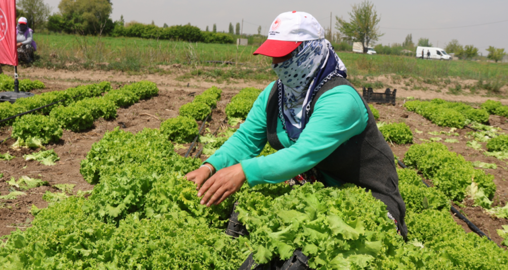 Vajinismus Hakkında En Çok Merak Edilen 5 Soru ve Cevapları