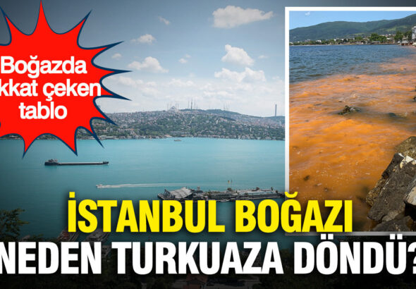 istanbul-bogazi-neden-turkuaza-dondu-arkasindaki-gercek-sasirtti-JLlJmYav
