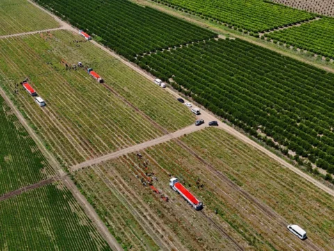 Keban barajinin kiyisindan bereket fiskiriyor dekar basina tam 20 ton kBvgtnTr